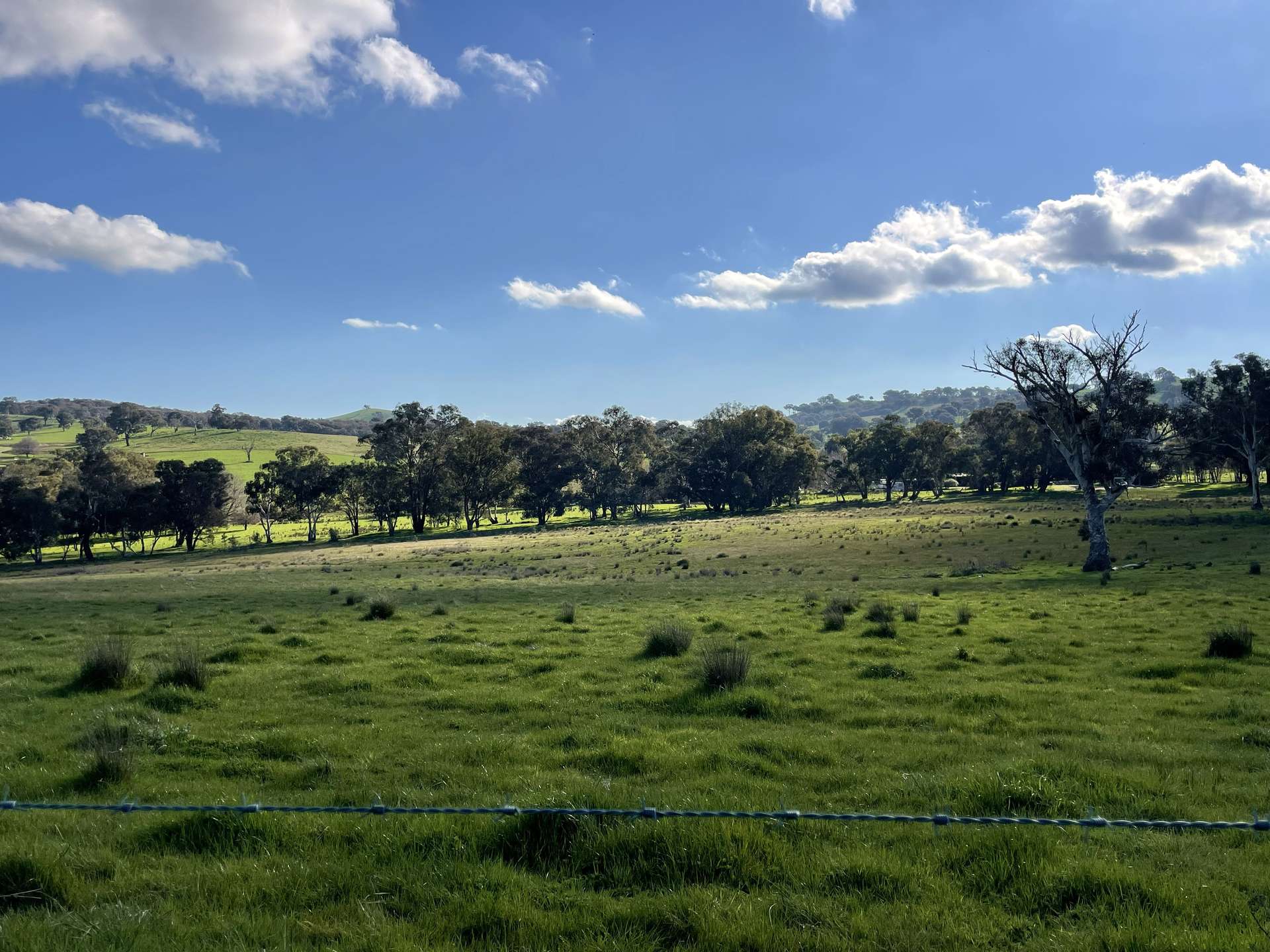 149 Long Tunnel Road, Gundagai For Sale by Farmbuy.com - image 24