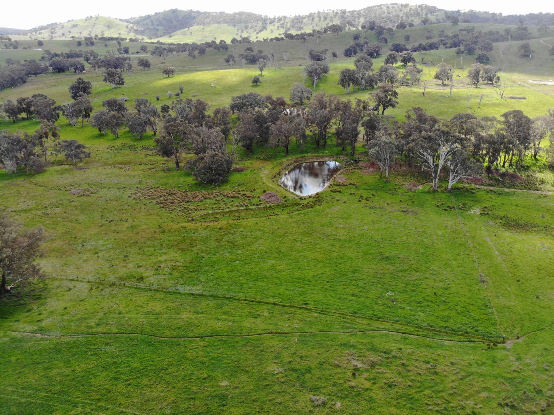 149 Long Tunnel Road, Gundagai For Sale by Farmbuy.com - image 35