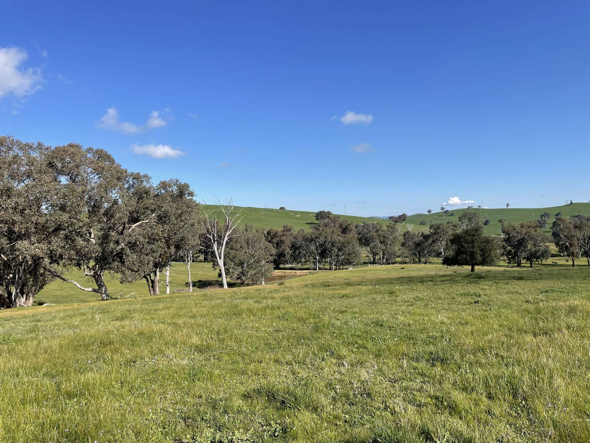 149 Long Tunnel Road, Gundagai For Sale by Farmbuy.com - image 13