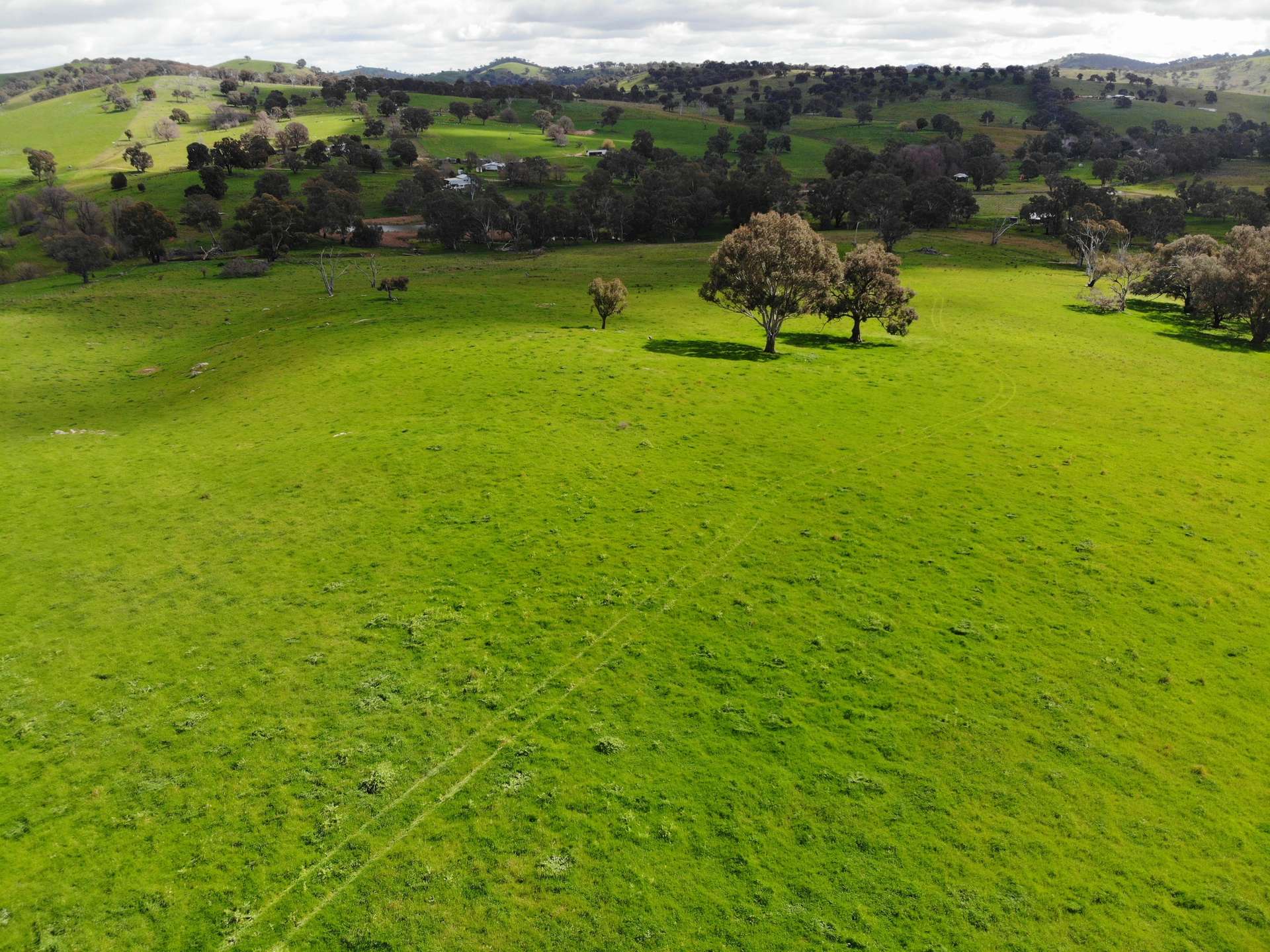 149 Long Tunnel Road, Gundagai For Sale by Farmbuy.com - image 34