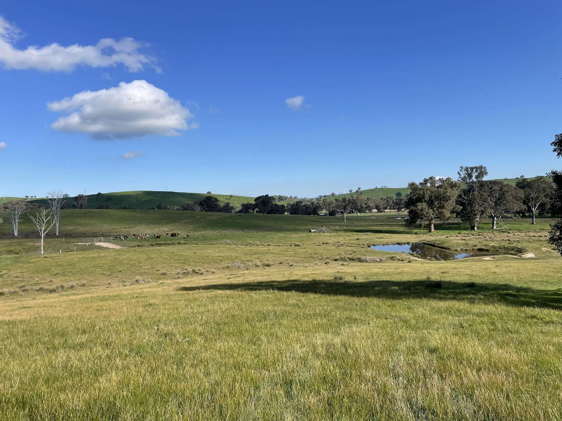 149 Long Tunnel Road, Gundagai For Sale by Farmbuy.com - image 21