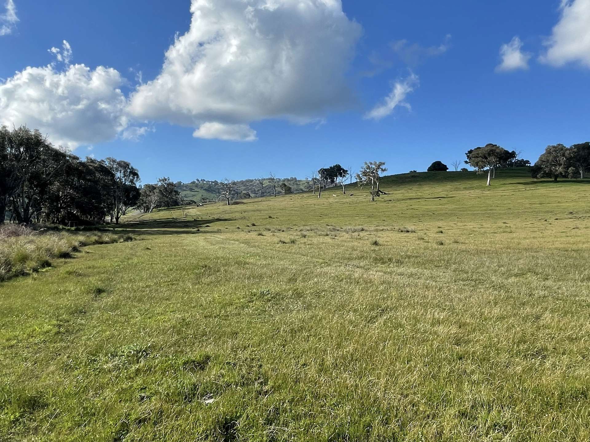 149 Long Tunnel Road, Gundagai For Sale by Farmbuy.com - image 22