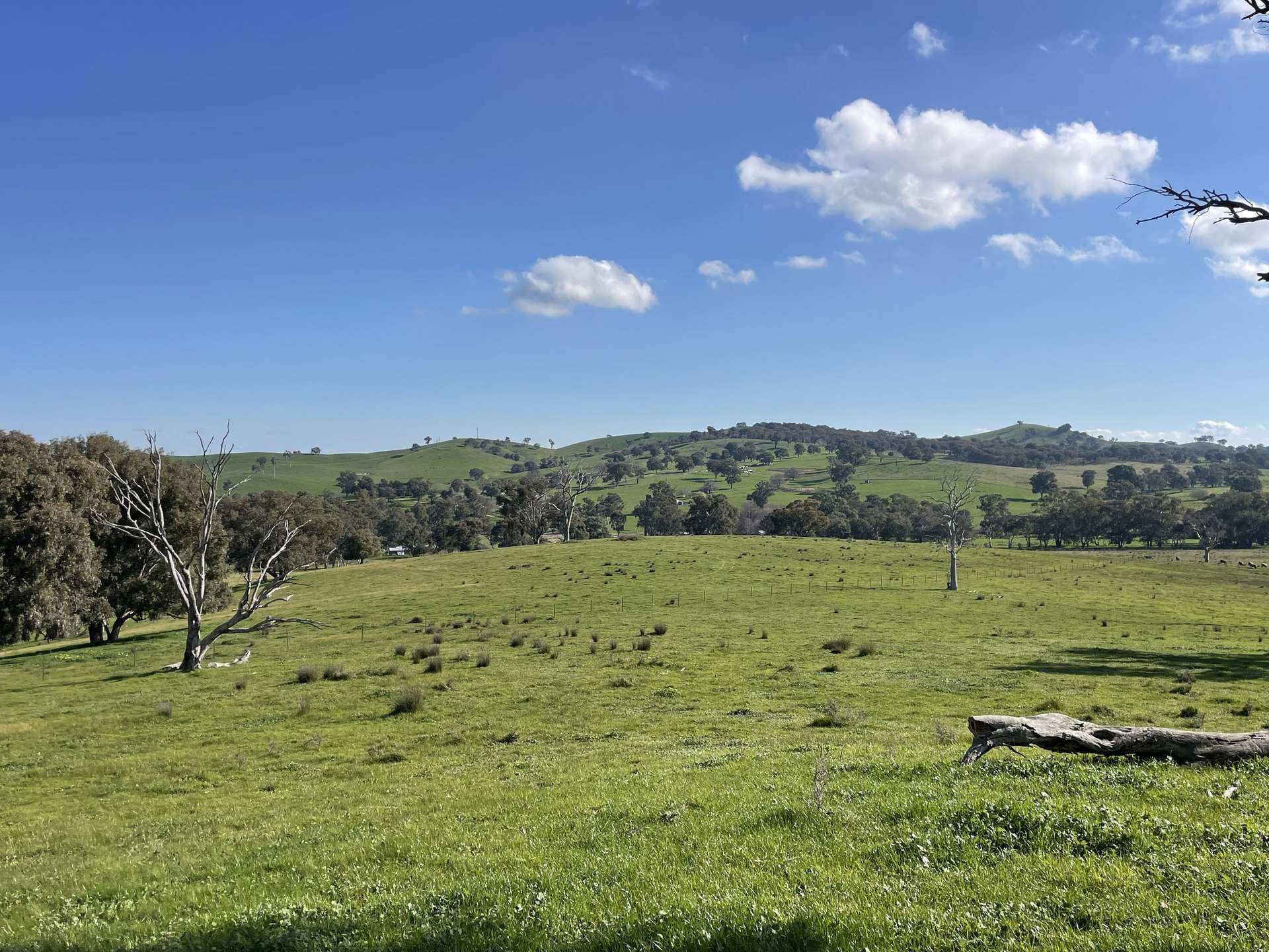 149 Long Tunnel Road, Gundagai For Sale by Farmbuy.com - image 18