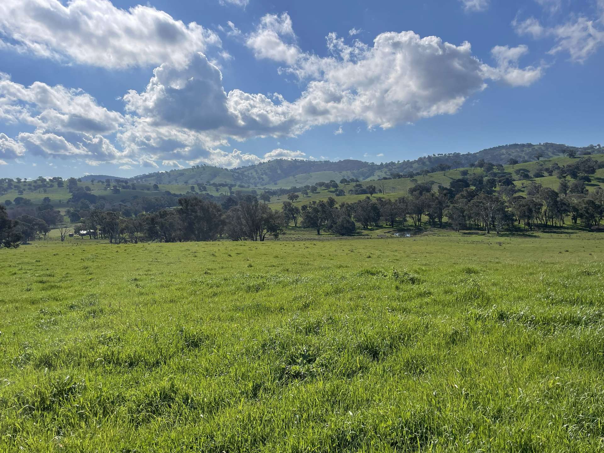 149 Long Tunnel Road, Gundagai For Sale by Farmbuy.com - image 7