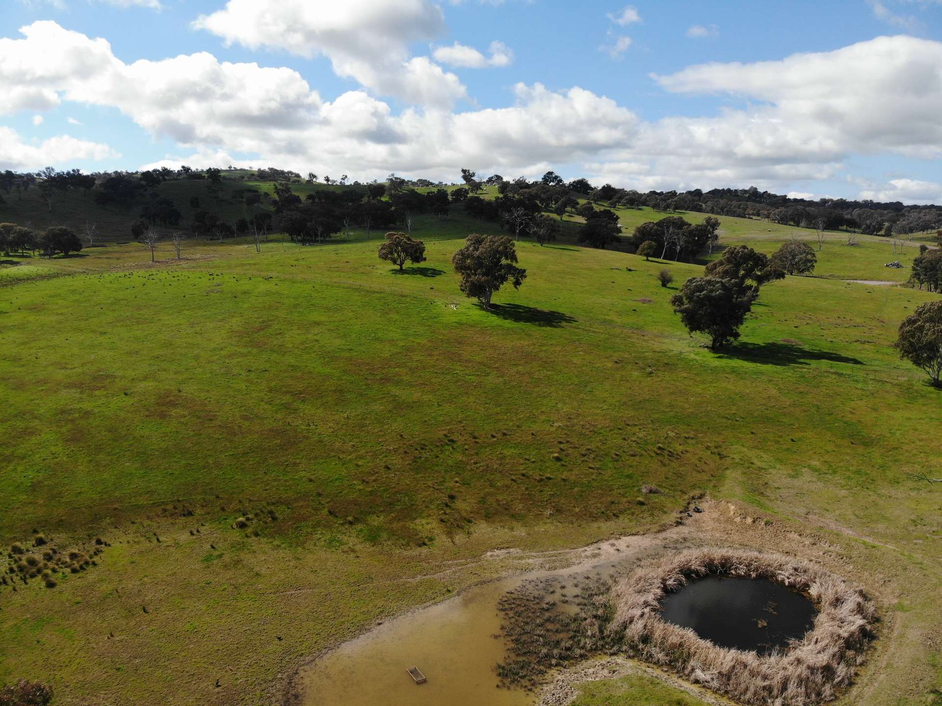149 Long Tunnel Road, Gundagai For Sale by Farmbuy.com - image 29