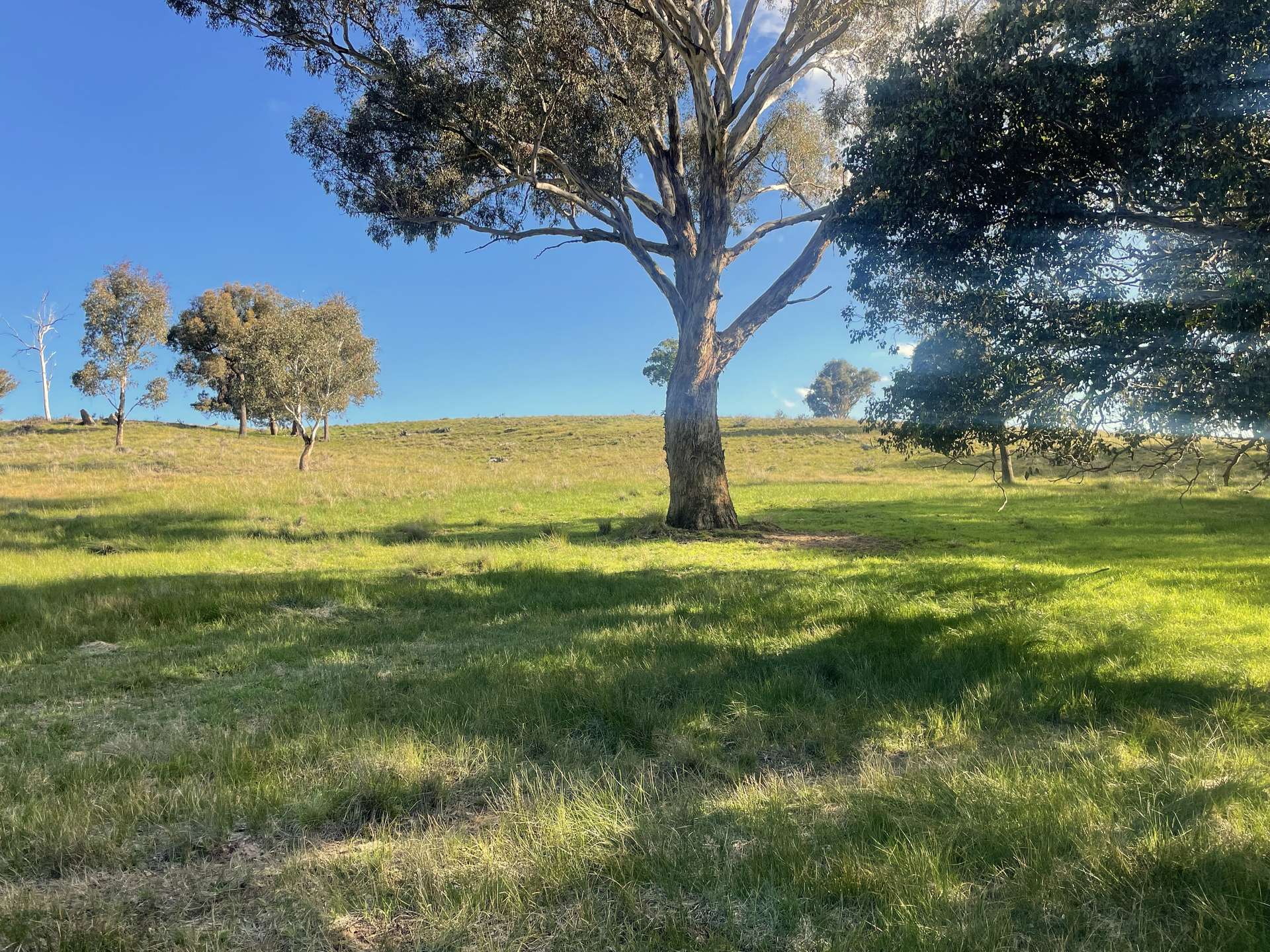149 Long Tunnel Road, Gundagai For Sale by Farmbuy.com - image 27