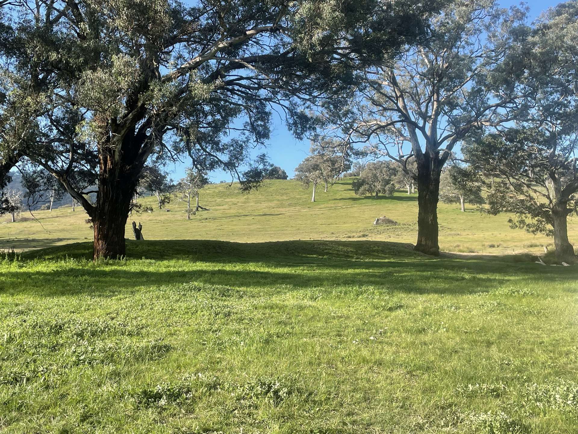 149 Long Tunnel Road, Gundagai For Sale by Farmbuy.com - image 26