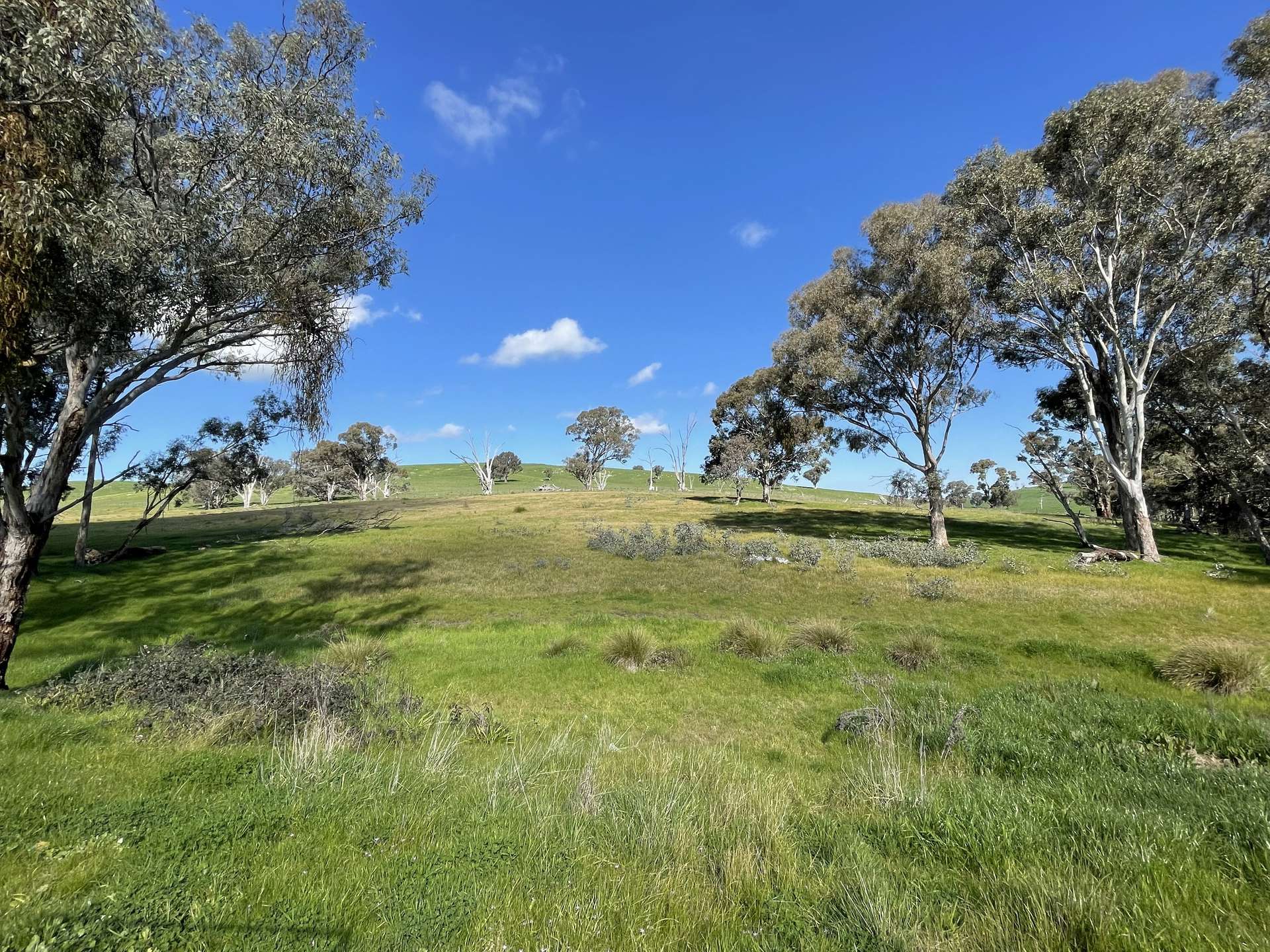 149 Long Tunnel Road, Gundagai For Sale by Farmbuy.com - image 3
