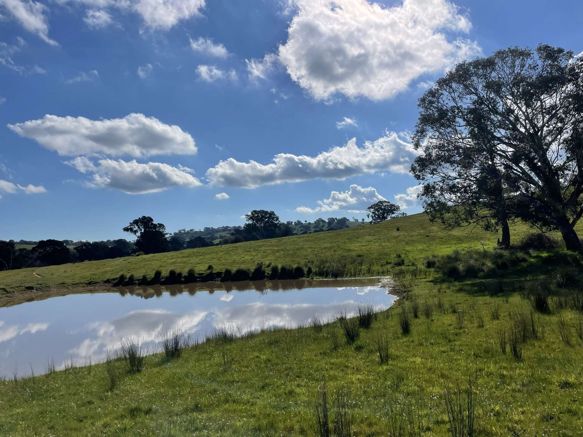 149 Long Tunnel Road, Gundagai For Sale by Farmbuy.com - image 12