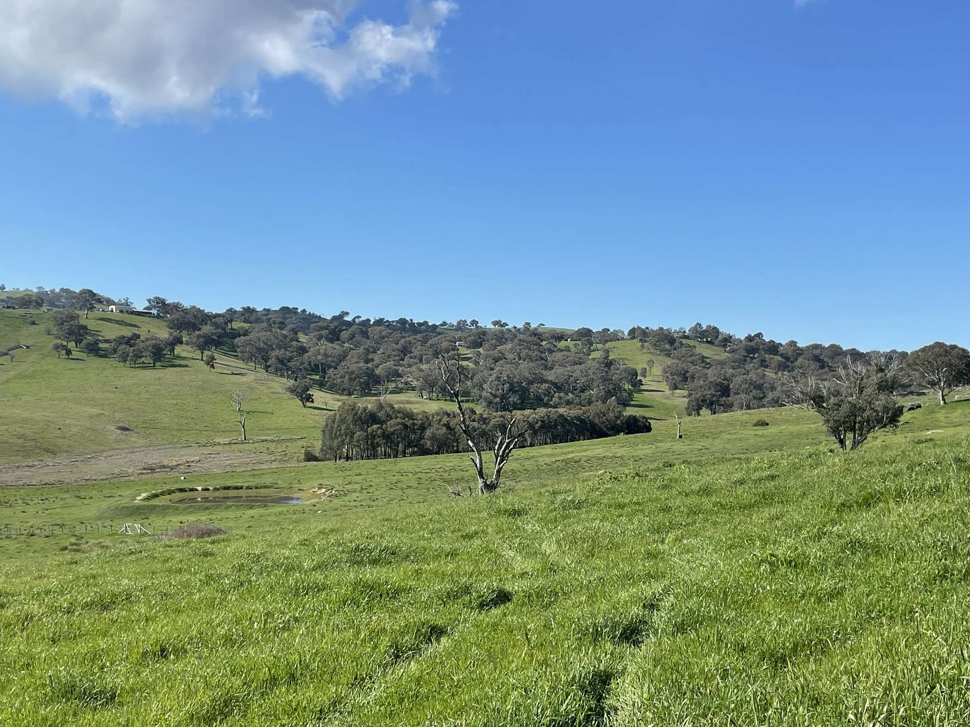 149 Long Tunnel Road, Gundagai For Sale by Farmbuy.com - image 8