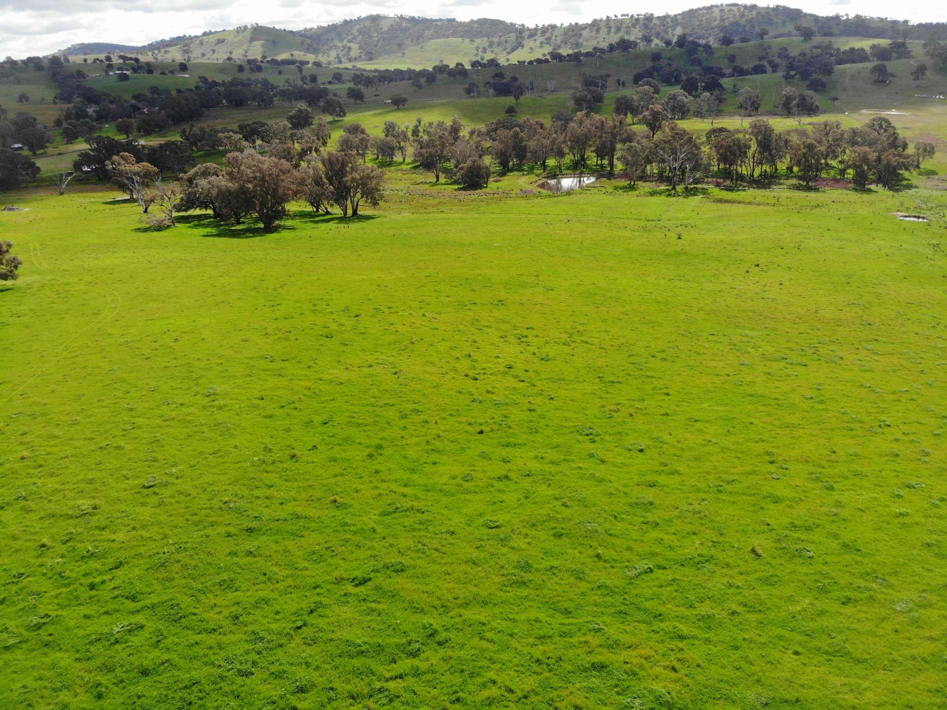 149 Long Tunnel Road, Gundagai For Sale by Farmbuy.com - image 33