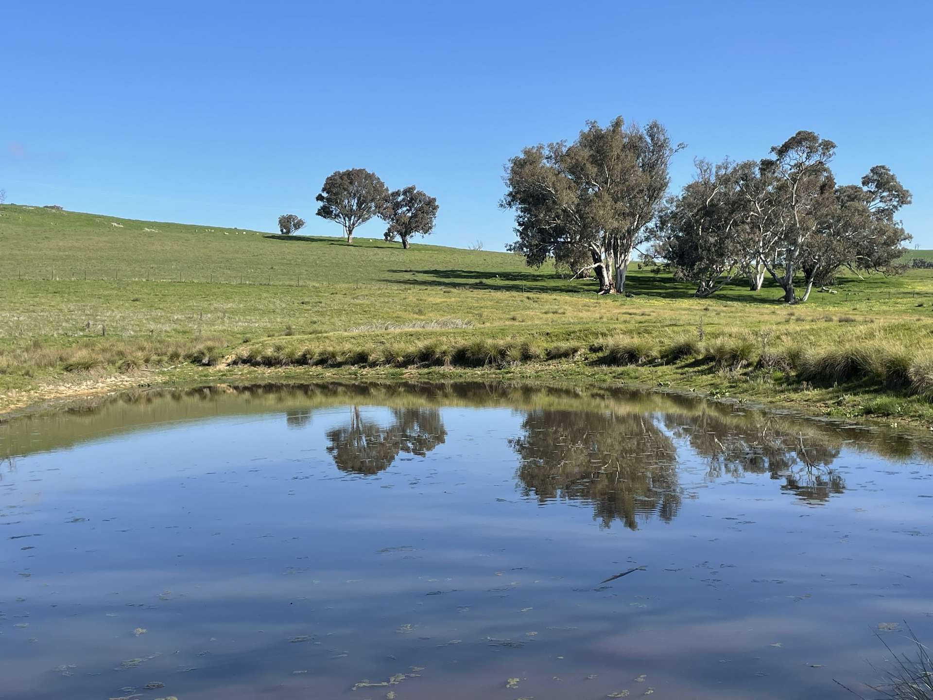 149 Long Tunnel Road, Gundagai For Sale by Farmbuy.com - image 10