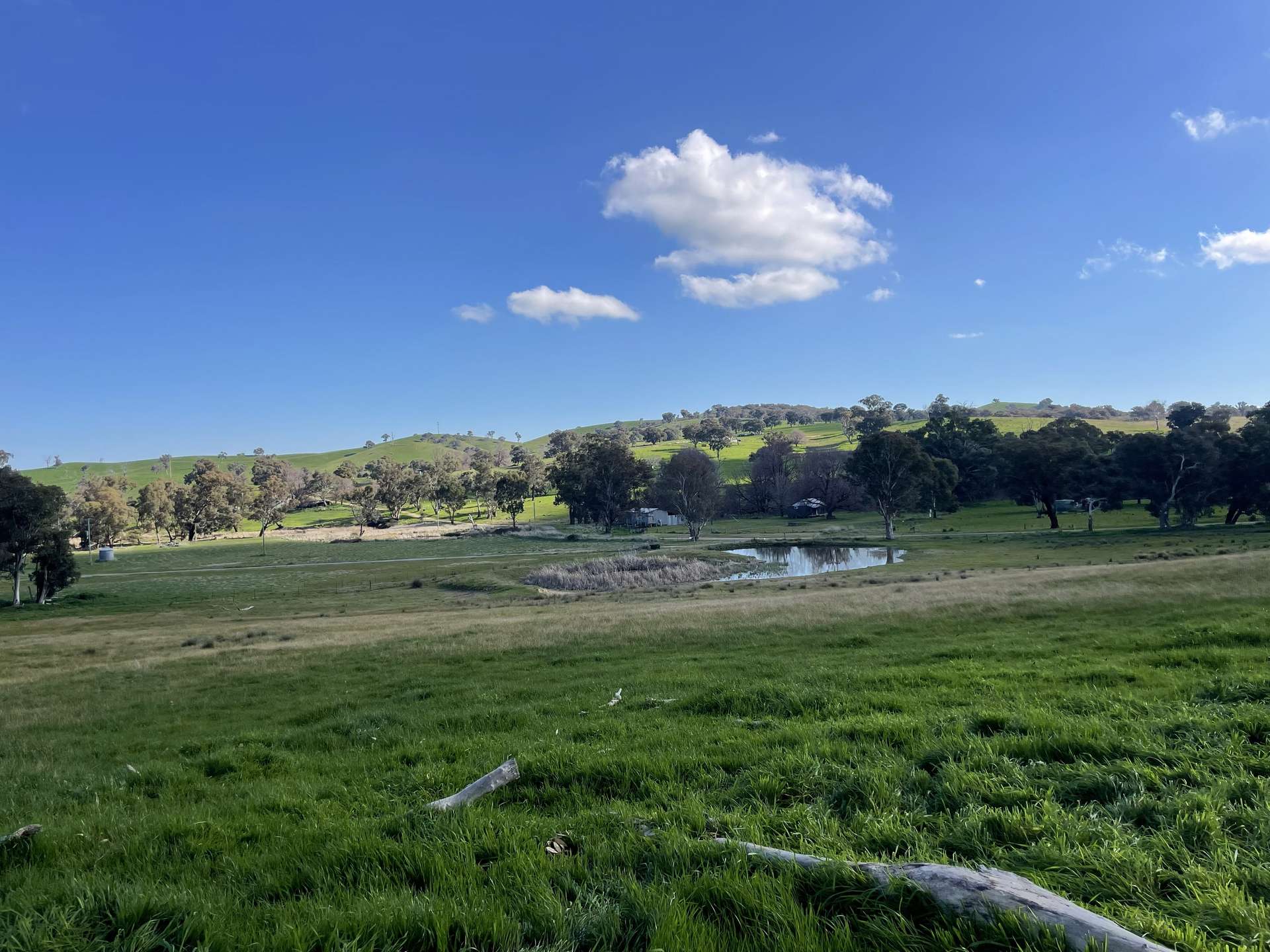 149 Long Tunnel Road, Gundagai For Sale by Farmbuy.com - image 15