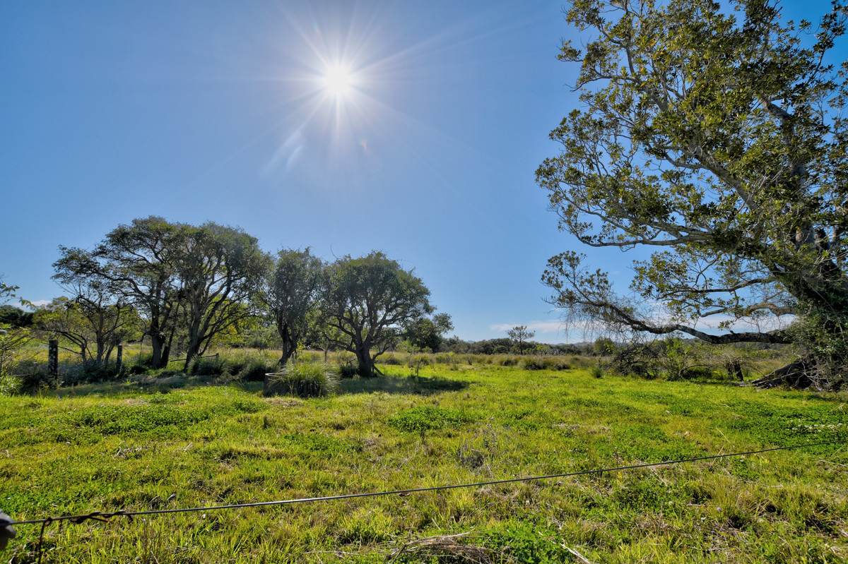 10A Sandy Point Road, Monaltrie For Sale by Farmbuy.com - image 1
