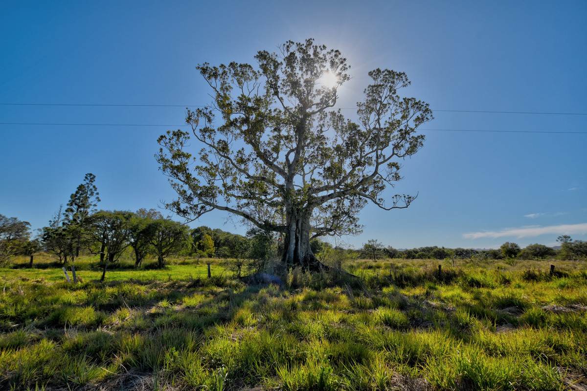 10A Sandy Point Road, Monaltrie For Sale by Farmbuy.com - image 9