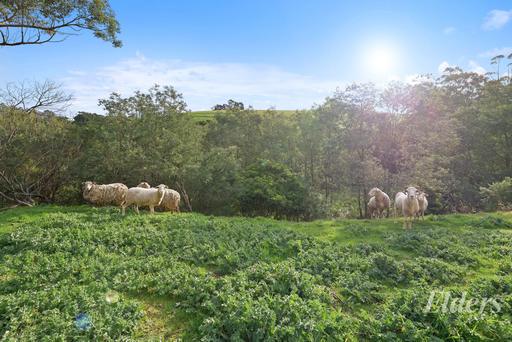 Farm For Sale - VIC - Narracan - 3824 - Peace, Privacy & Potential on 5.67 Acres 