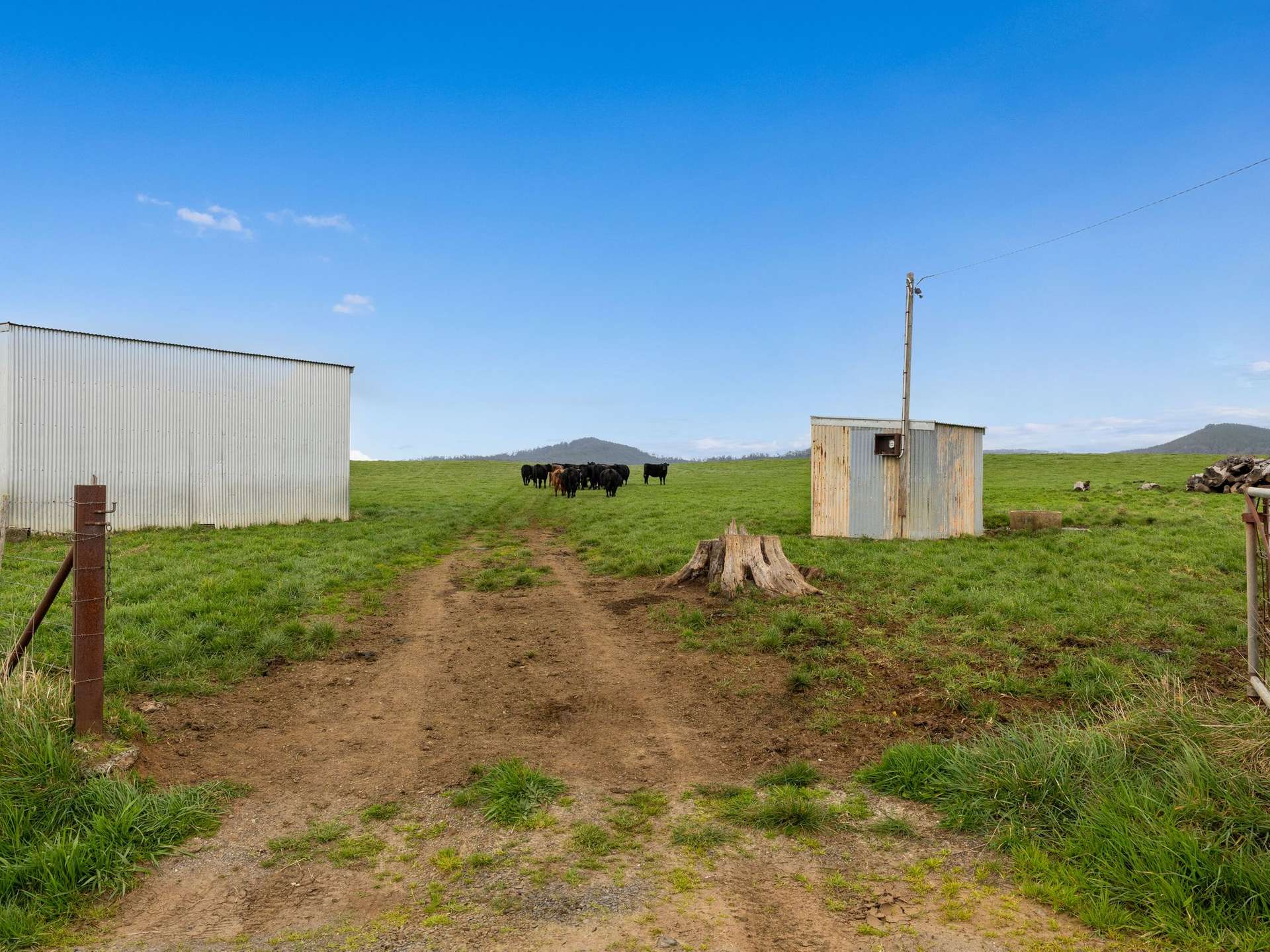 Lot 1,  Rifle Range Road, Preston For Sale by Farmbuy.com - image 8