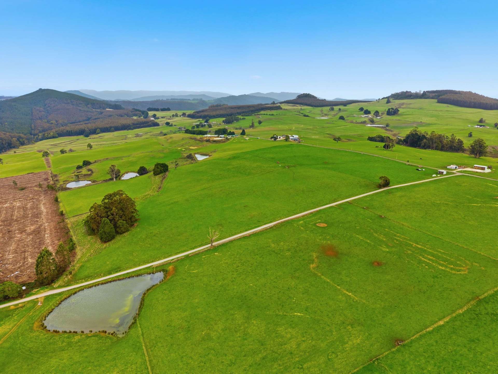 Lot 1,  Rifle Range Road, Preston For Sale by Farmbuy.com - image 17