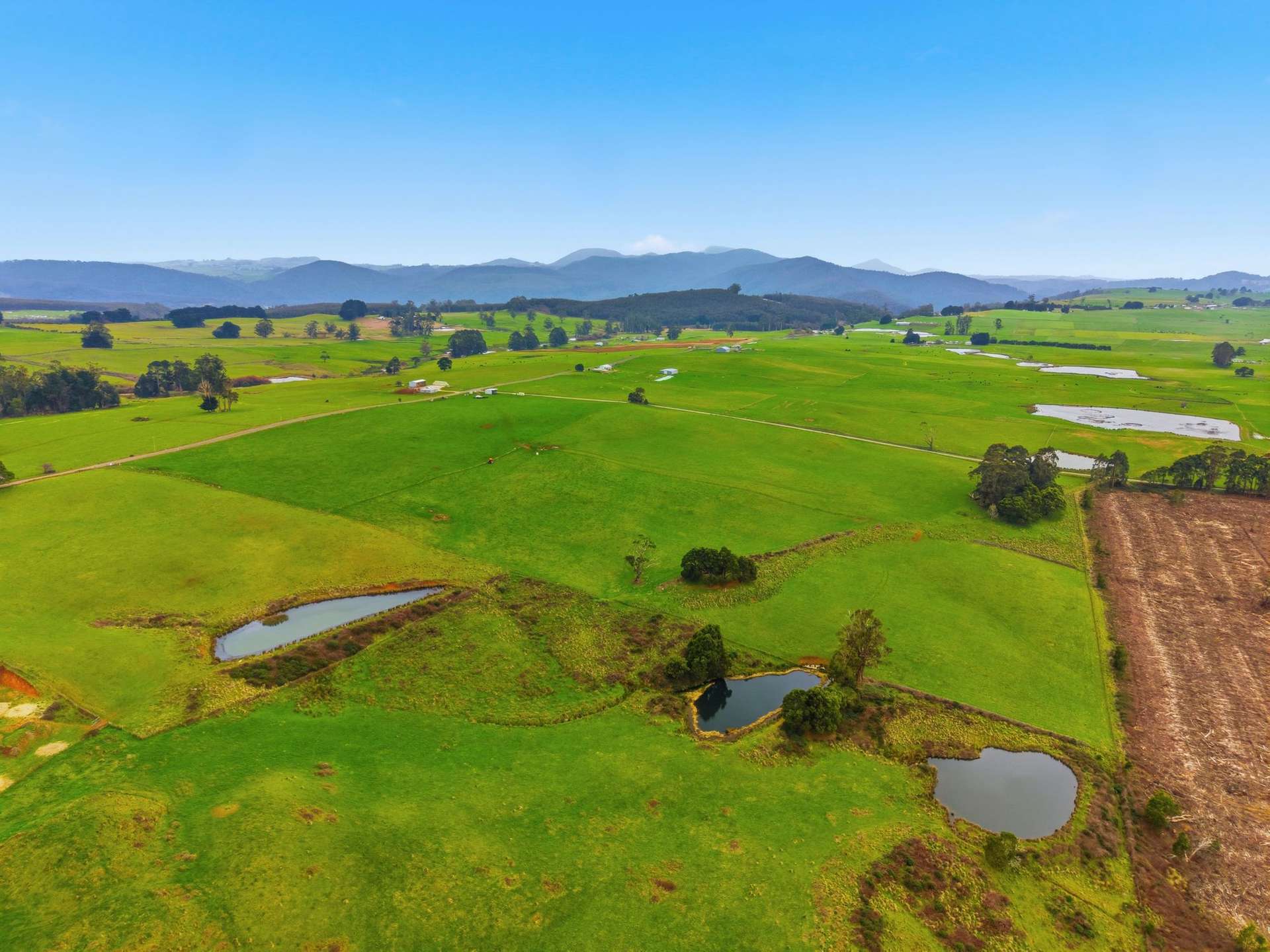 Lot 1,  Rifle Range Road, Preston For Sale by Farmbuy.com - image 10