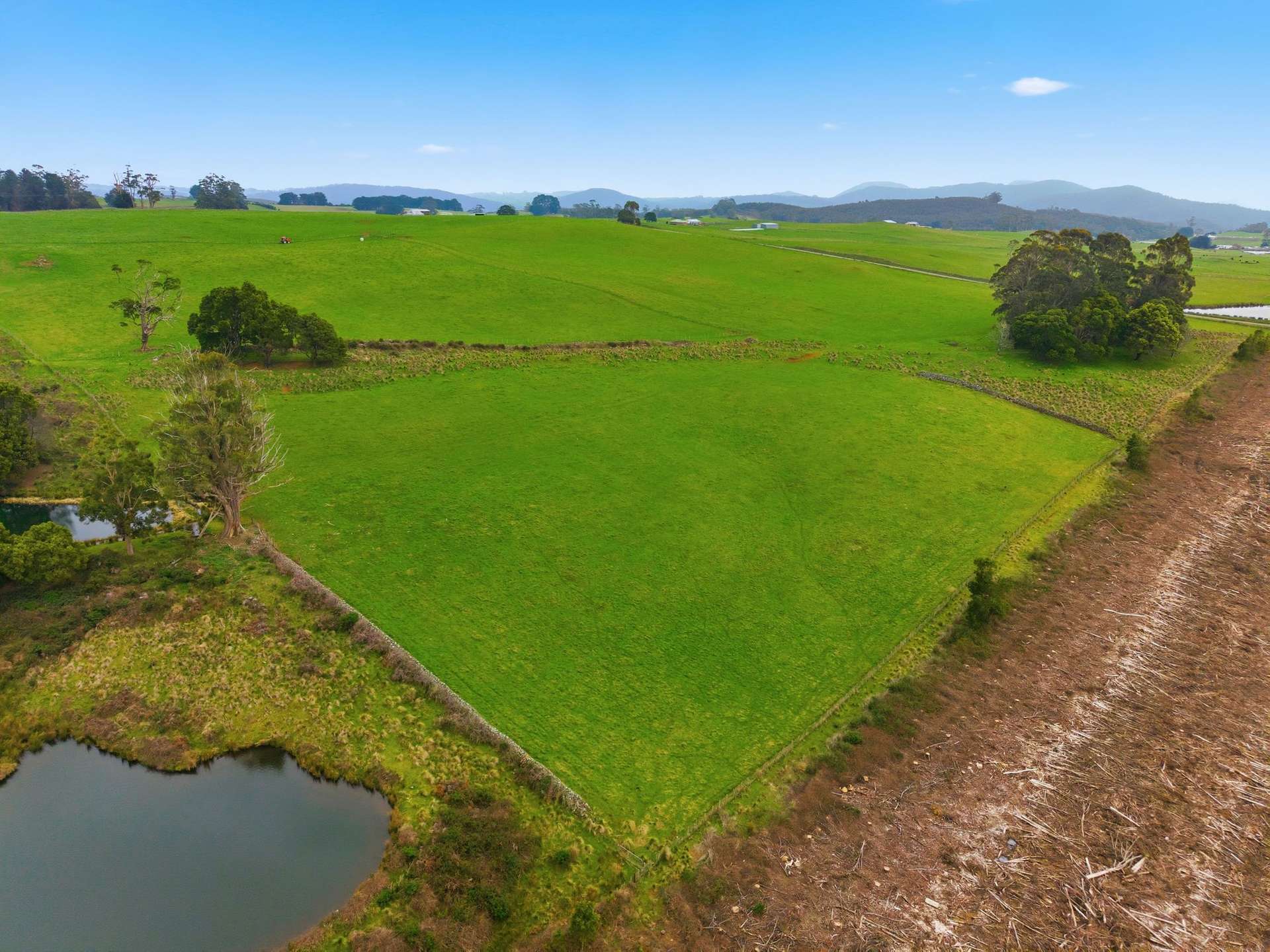 Lot 1,  Rifle Range Road, Preston For Sale by Farmbuy.com - image 11