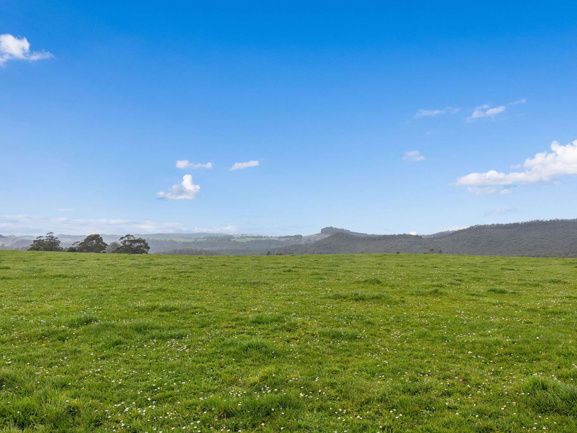 Lot 1,  Rifle Range Road, Preston For Sale by Farmbuy.com - image 16