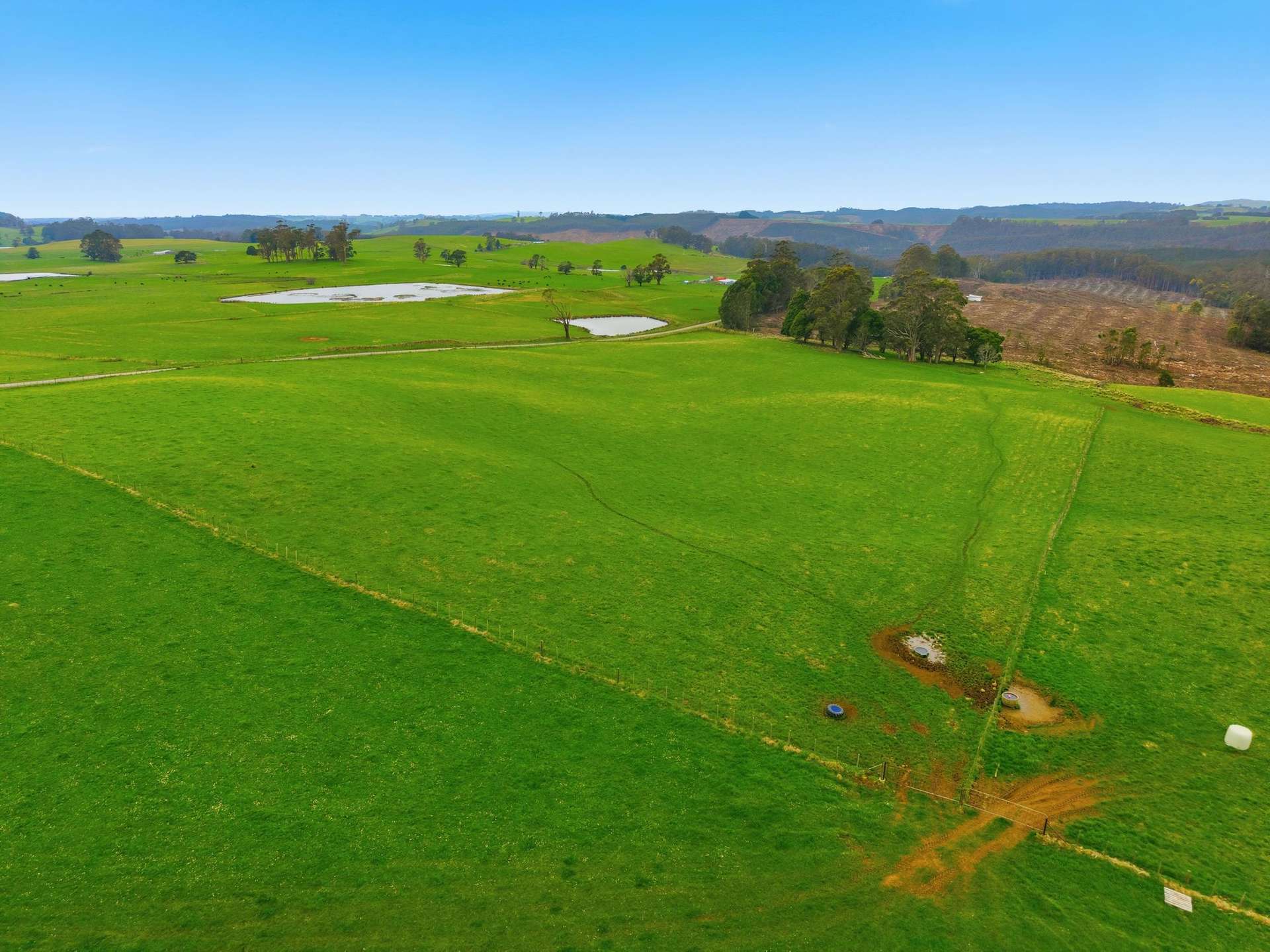 Lot 1,  Rifle Range Road, Preston For Sale by Farmbuy.com - image 6