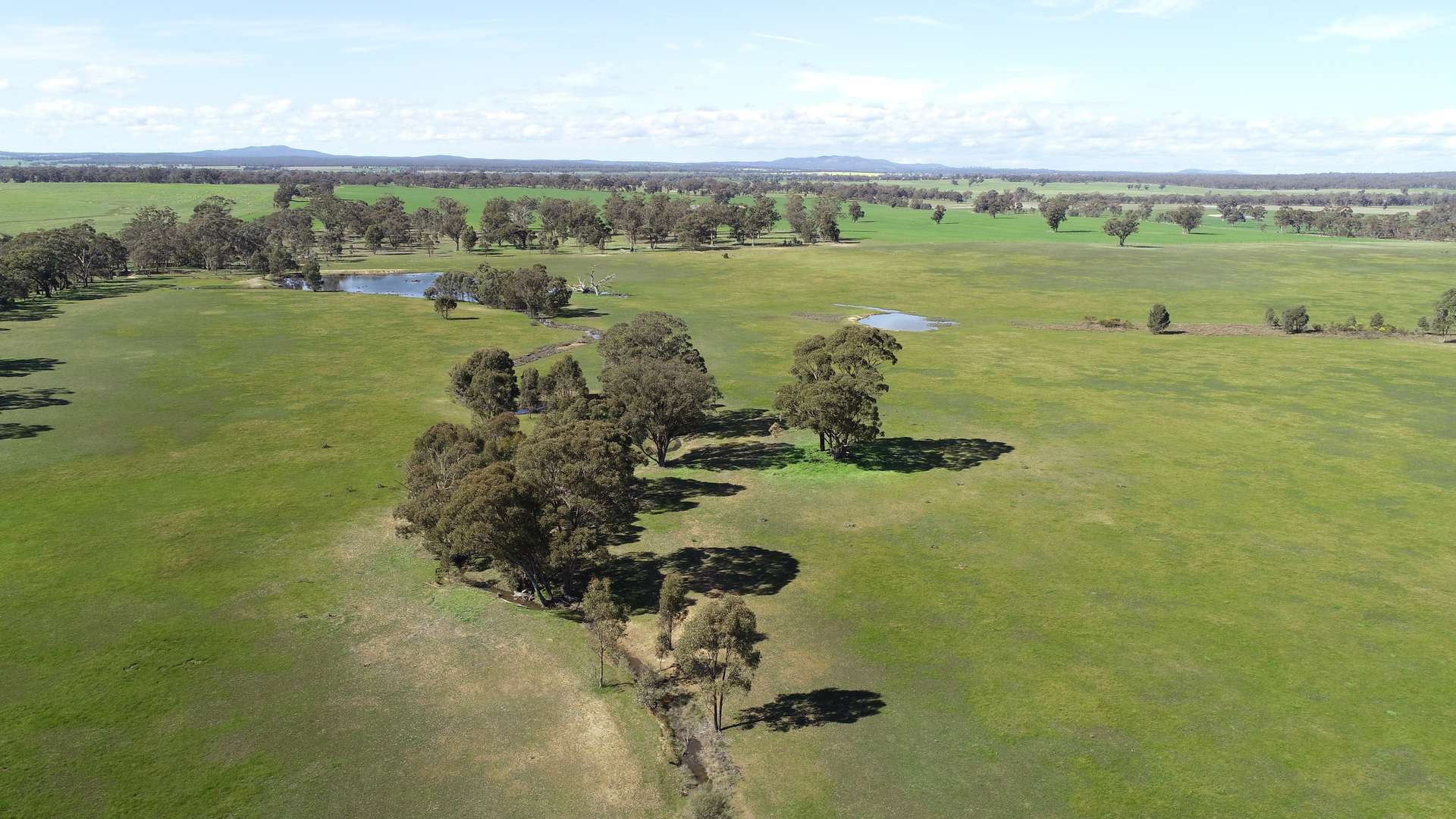 84 Whyte Road, Emu For Sale by Farmbuy.com - image 3