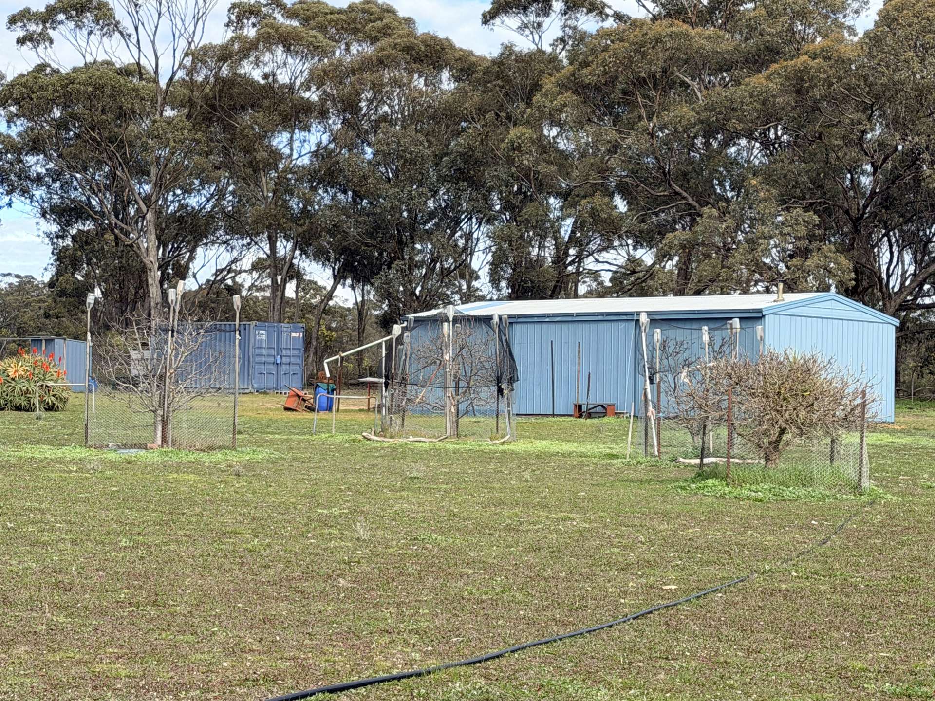 84 Whyte Road, Emu For Sale by Farmbuy.com - image 9