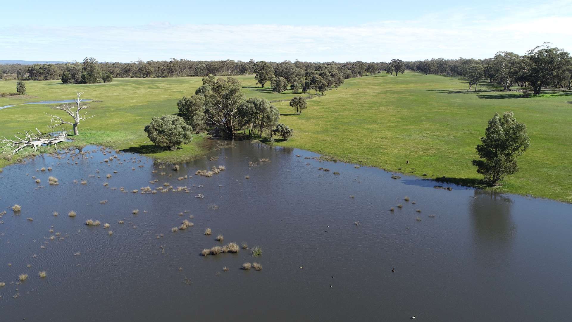 84 Whyte Road, Emu For Sale by Farmbuy.com - image 5
