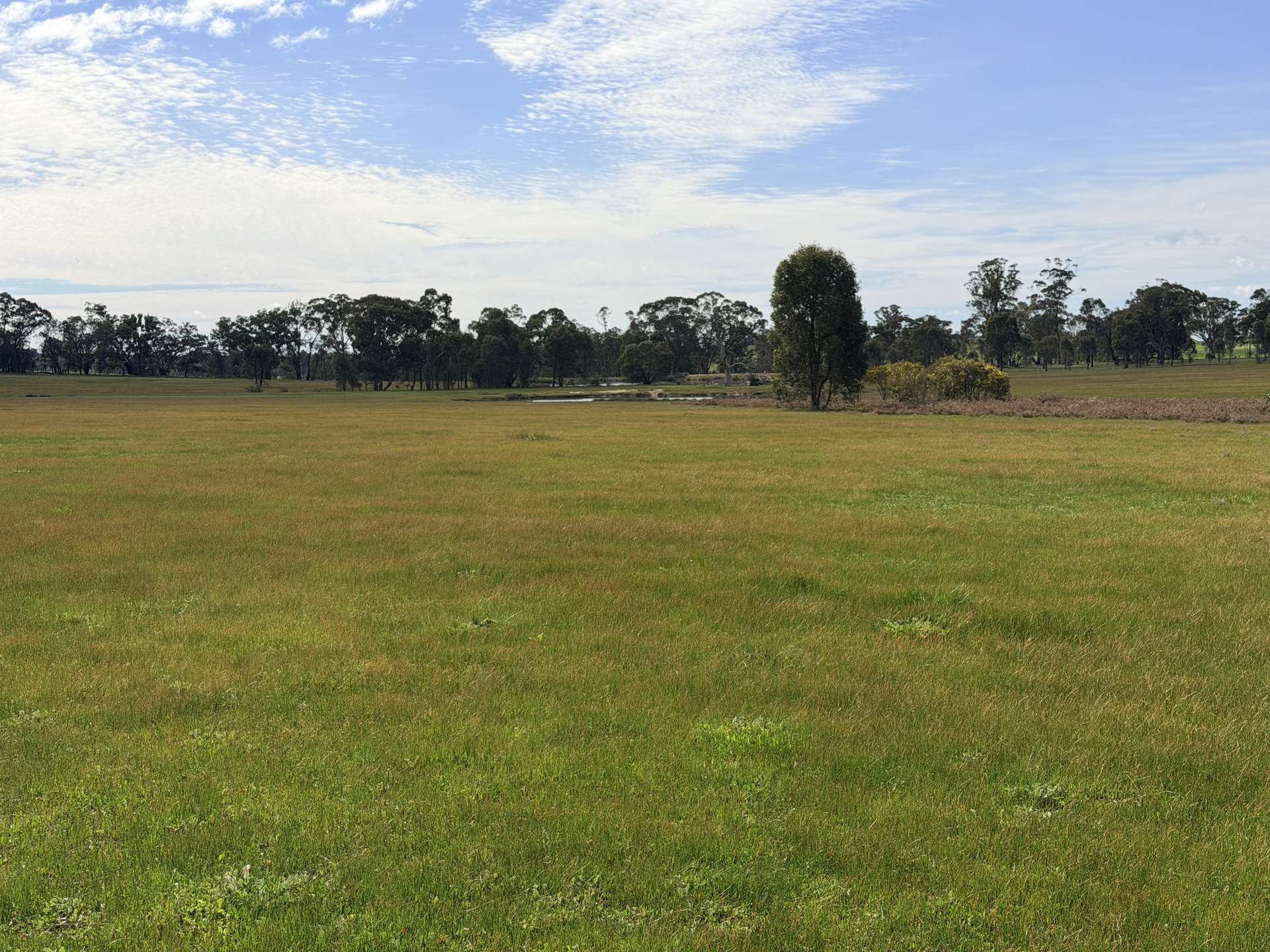 84 Whyte Road, Emu For Sale by Farmbuy.com - image 34