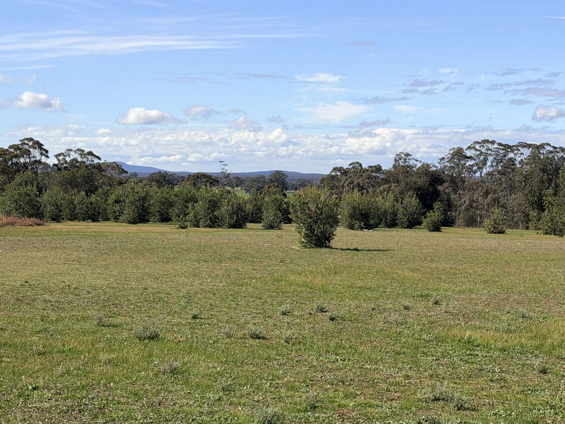 84 Whyte Road, Emu For Sale by Farmbuy.com - image 30