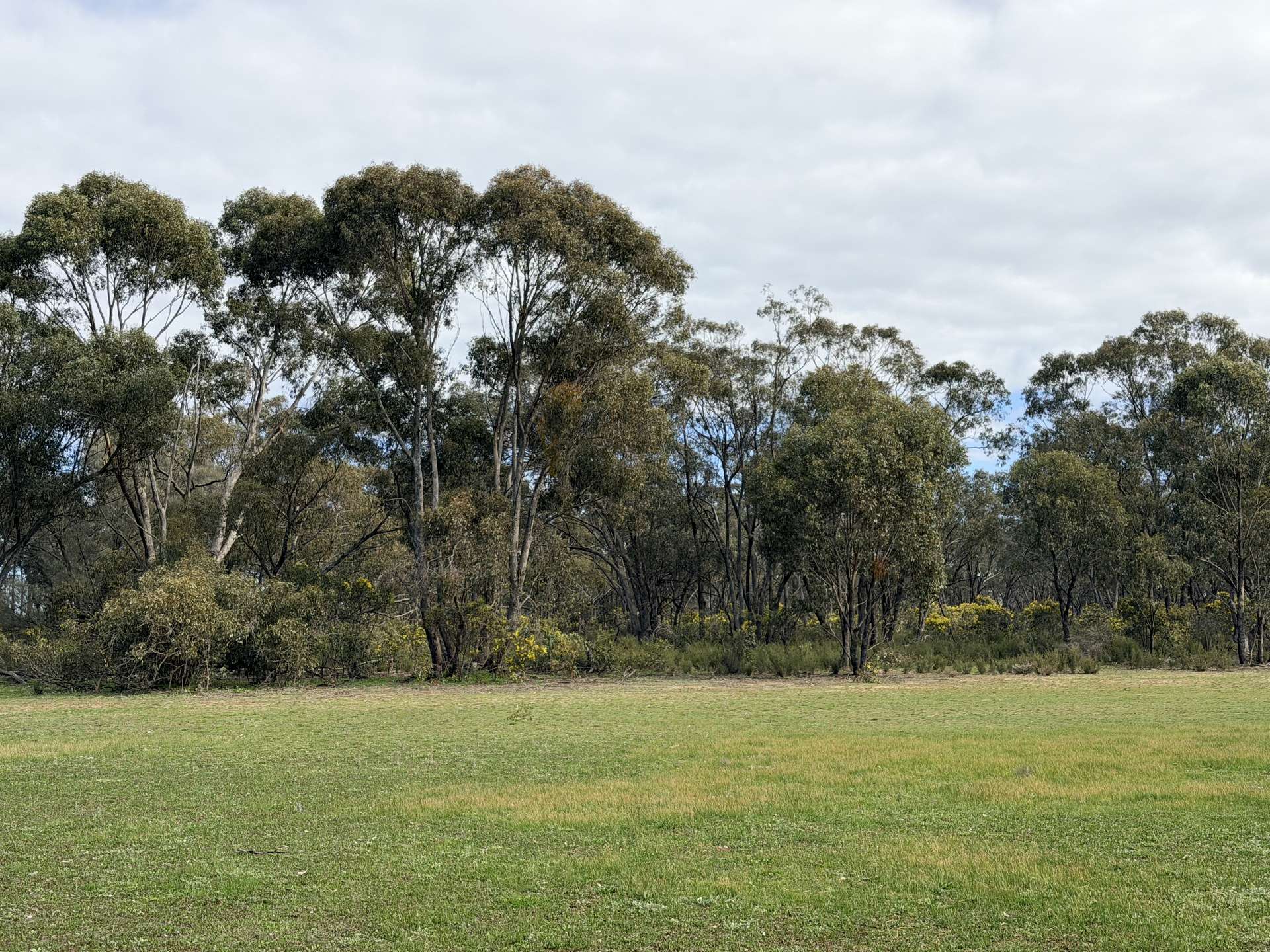 84 Whyte Road, Emu For Sale by Farmbuy.com - image 28