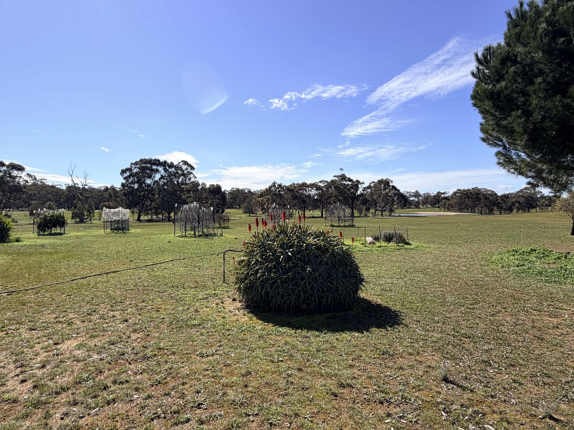 84 Whyte Road, Emu For Sale by Farmbuy.com - image 27