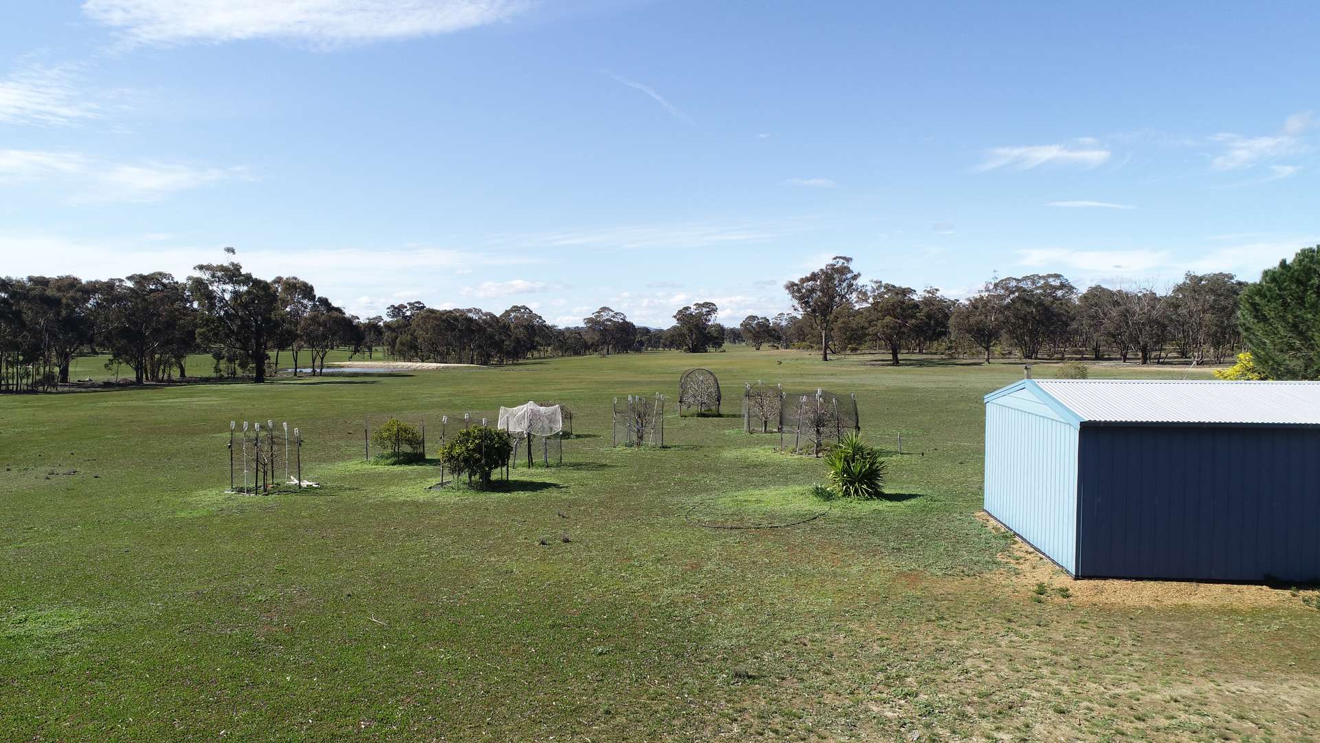 84 Whyte Road, Emu For Sale by Farmbuy.com - image 7