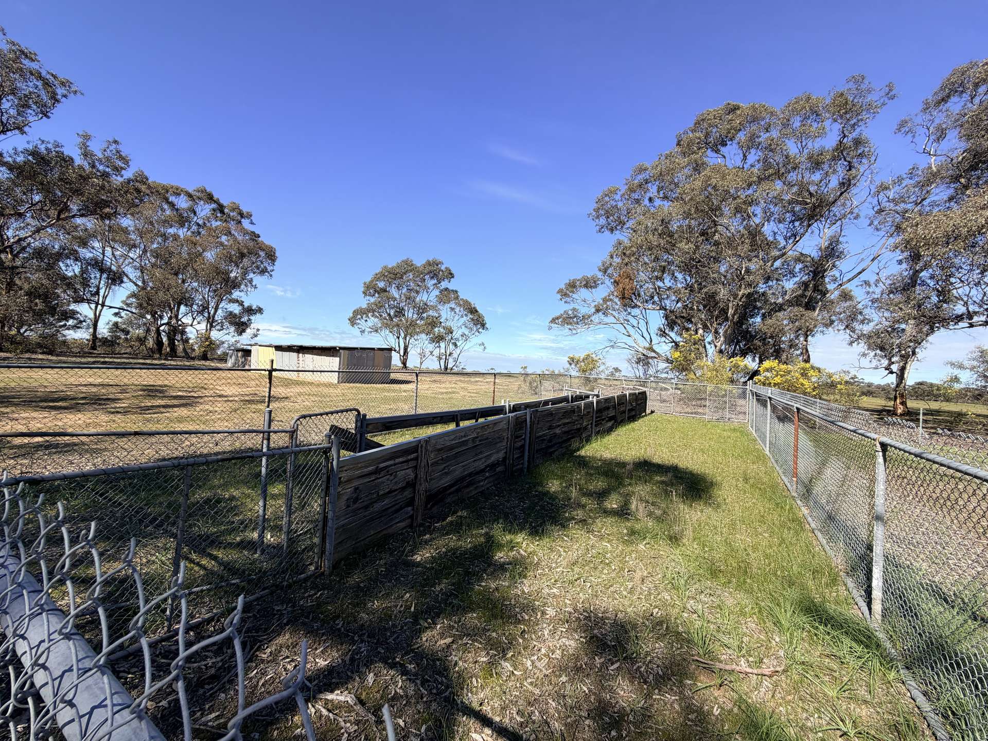 84 Whyte Road, Emu For Sale by Farmbuy.com - image 29