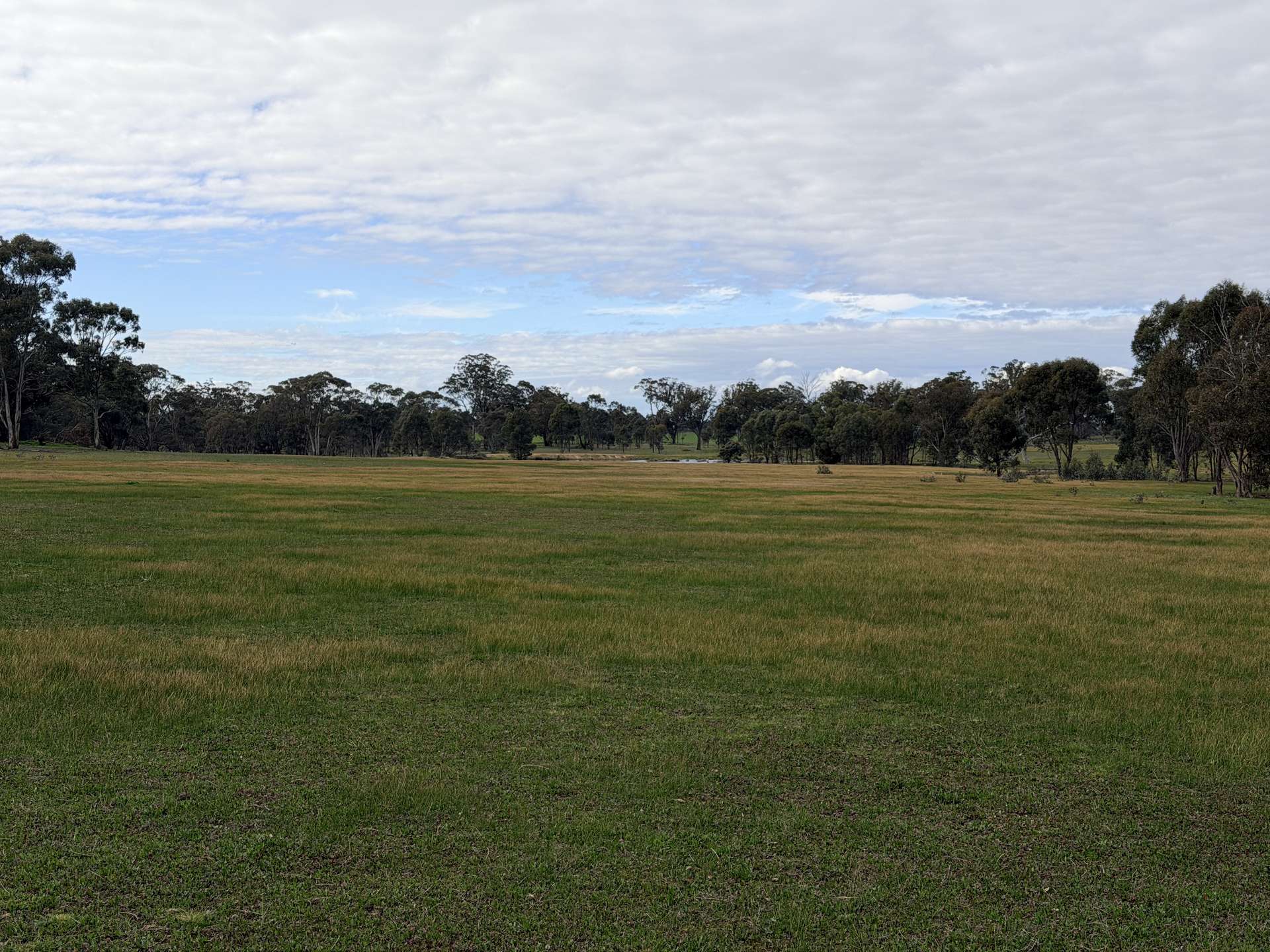 84 Whyte Road, Emu For Sale by Farmbuy.com - image 35