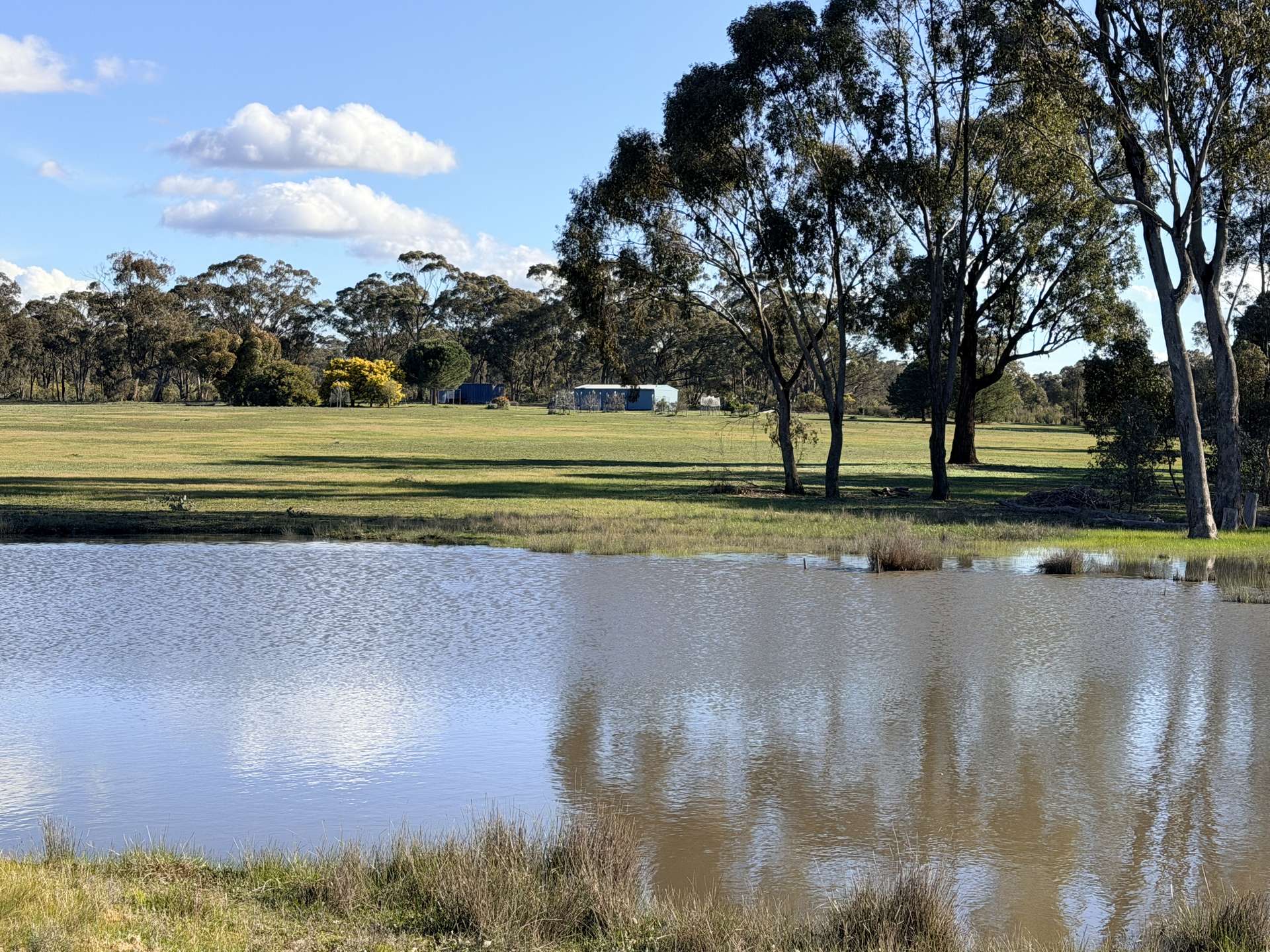 84 Whyte Road, Emu For Sale by Farmbuy.com - image 8