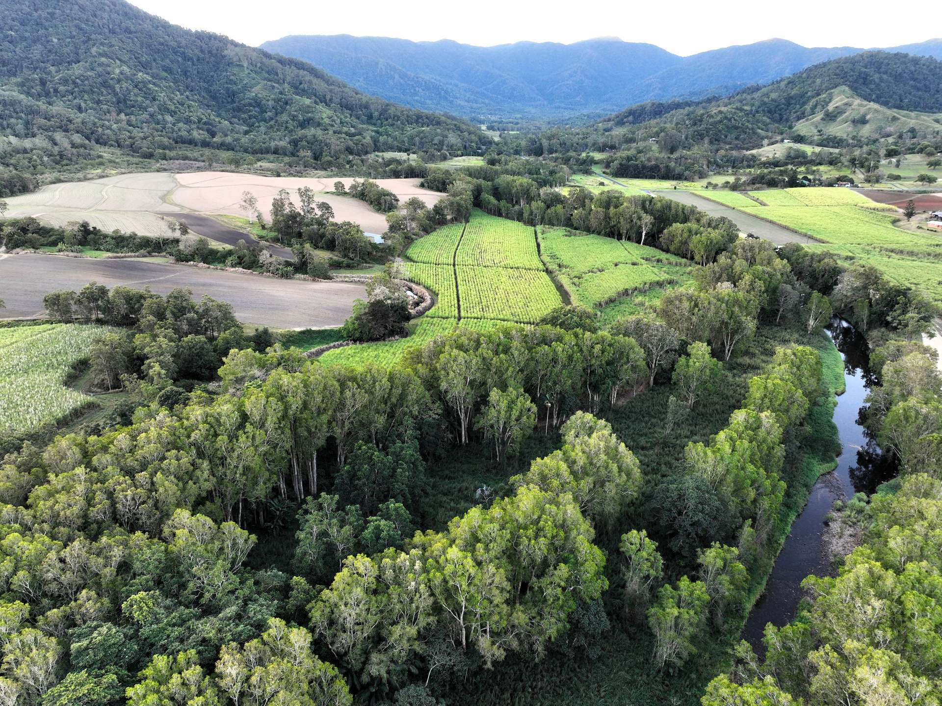 Lot 4 Primroses Road, Finch Hatton For Sale by Farmbuy.com - image 8