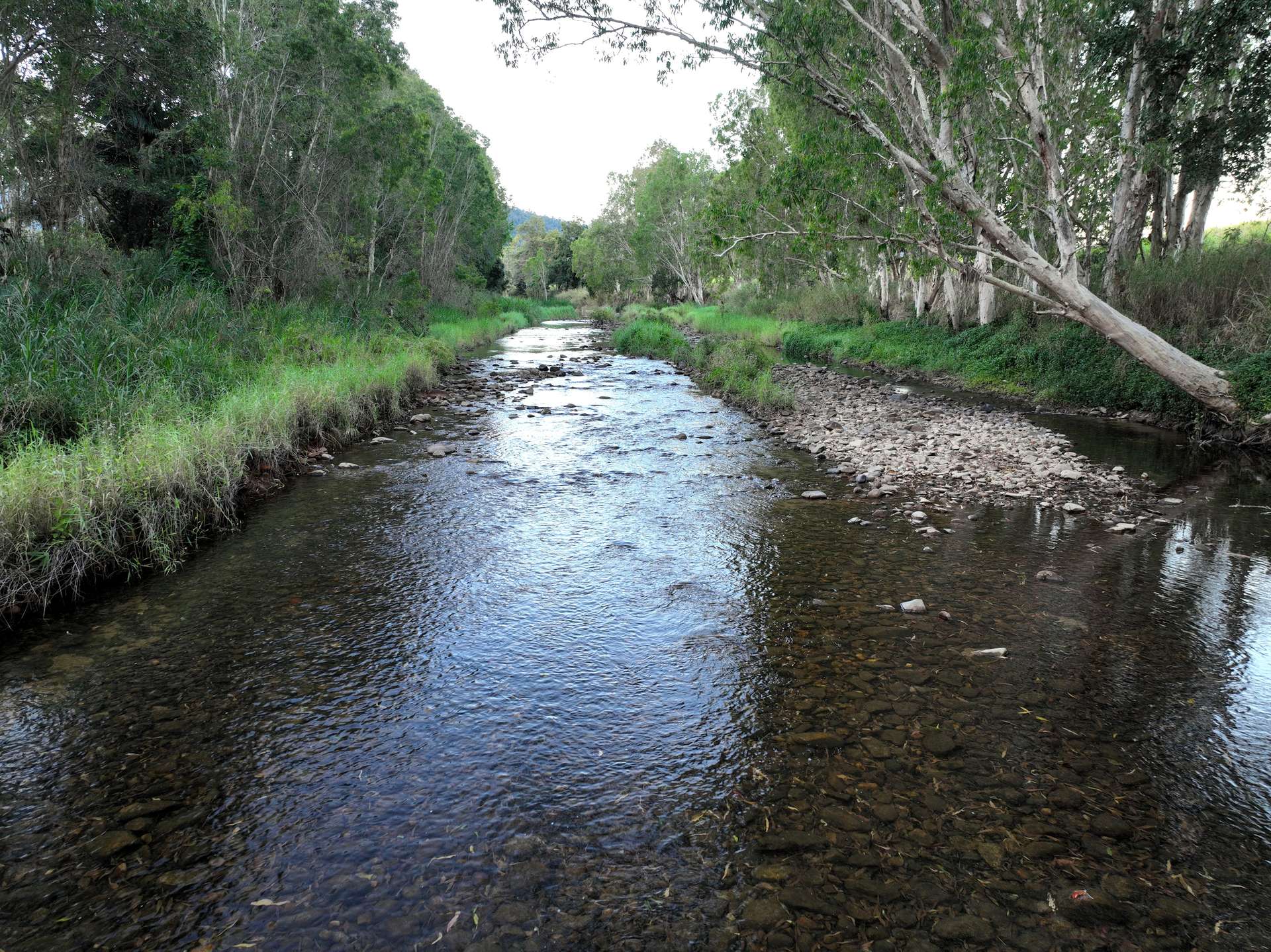 Lot 4 Primroses Road, Finch Hatton For Sale by Farmbuy.com - image 6