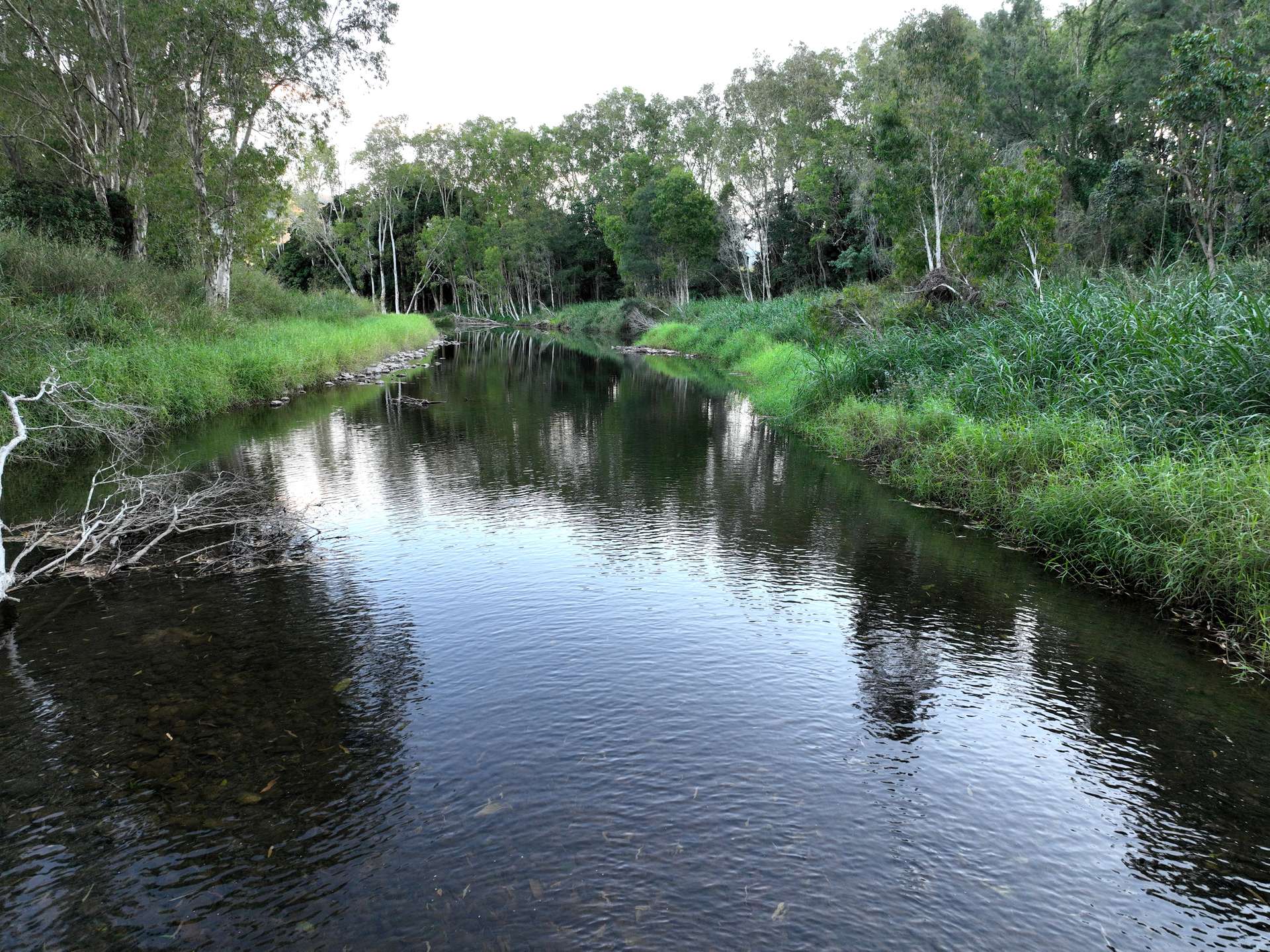 Lot 4 Primroses Road, Finch Hatton For Sale by Farmbuy.com - image 7