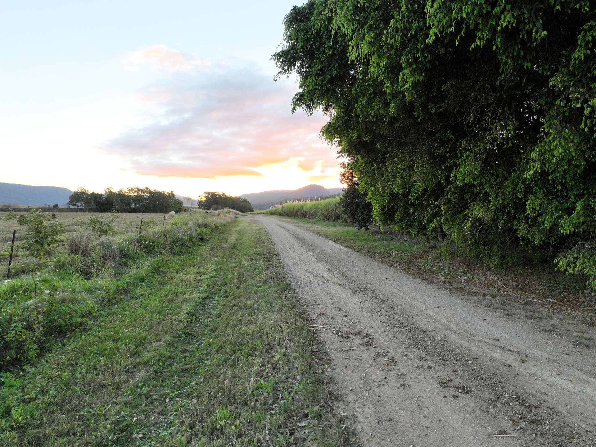 Lot 4 Primroses Road, Finch Hatton For Sale by Farmbuy.com - image 15