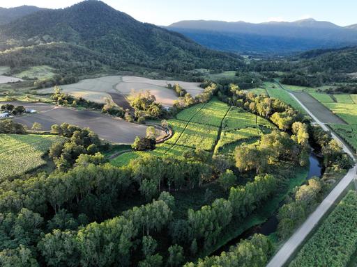 Lot 4 Primroses Road, Finch Hatton QLD 4756