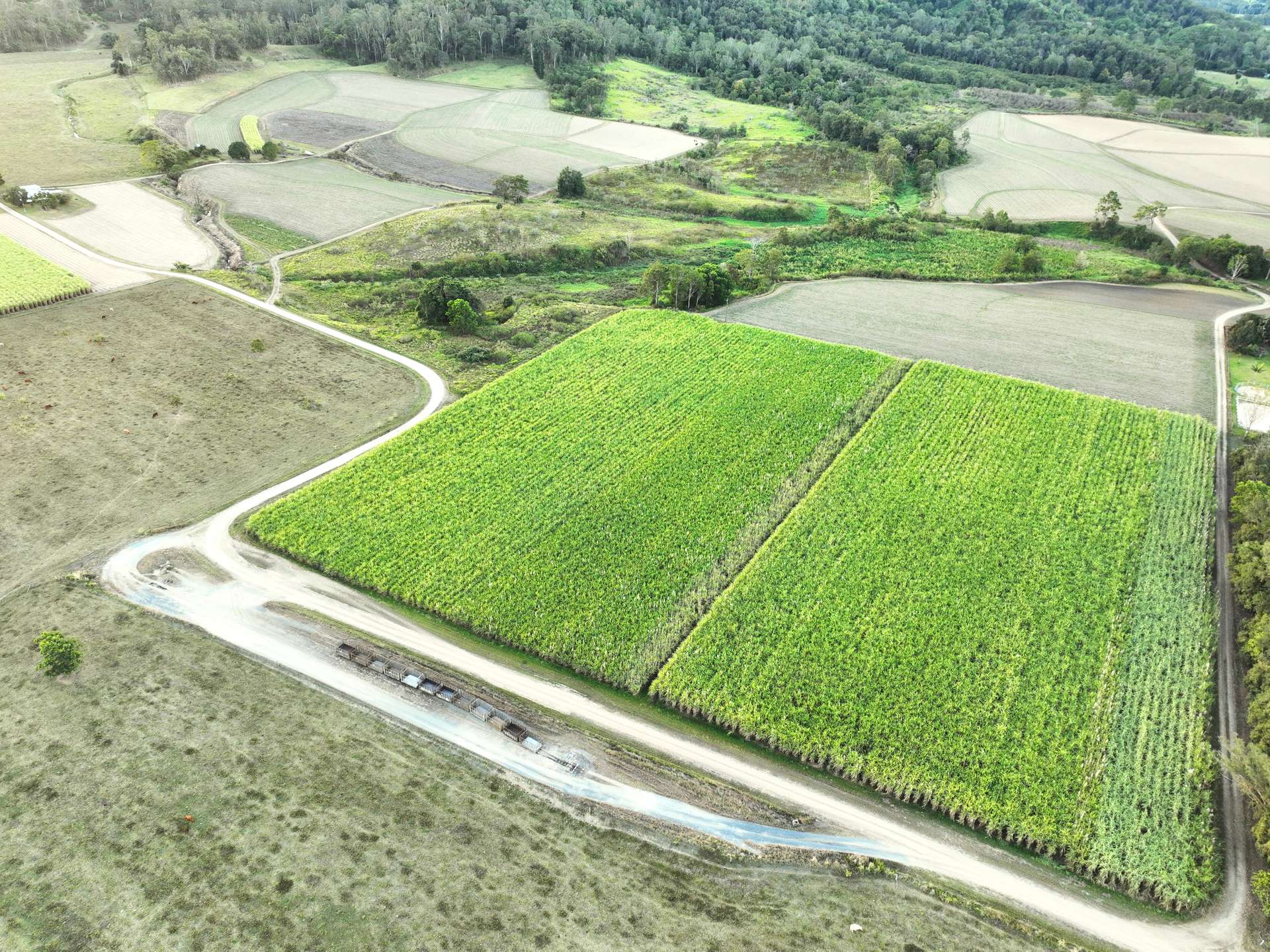 Lot 7 Primroses Road, Finch Hatton For Sale by Farmbuy.com - image 5