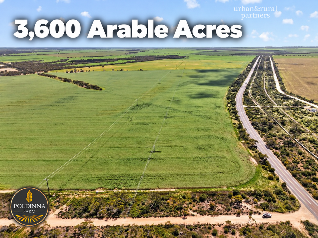 189 Smart Road, Minnipa SA 5654