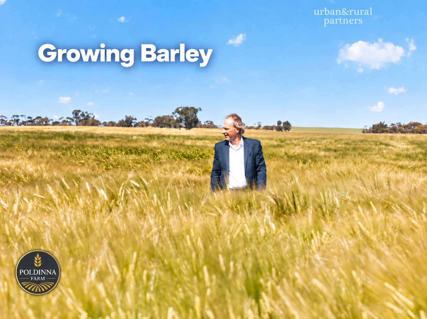 189 Smart Road, Minnipa For Sale by Farmbuy.com - image 5