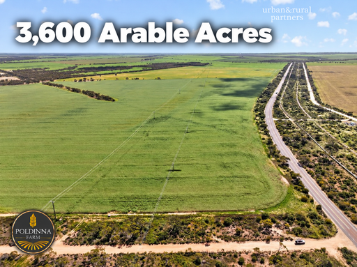 189 Smart Road, Minnipa SA 5654