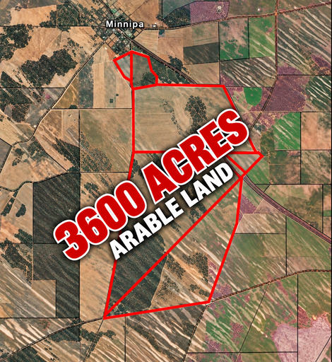 Farm For Sale - SA - Minnipa - 5654 - A Significant Eyre Peninsula Farming Opportunity 