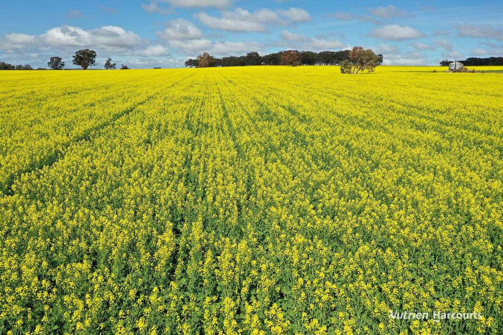 10986 Great Northern Highway, New Norcia WA 6509