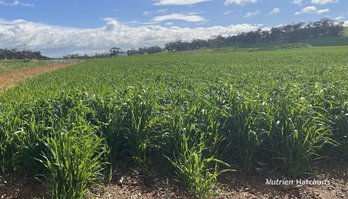 10986 Great Northern Highway, New Norcia For Sale by Farmbuy.com - image 3