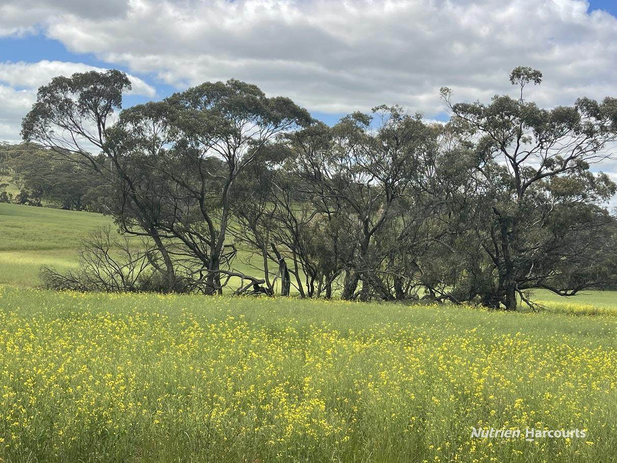 10986 Great Northern Highway, New Norcia For Sale by Farmbuy.com - image 7